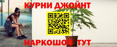 jwh Будённовск