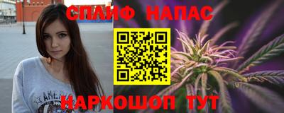 шишки Бузулук