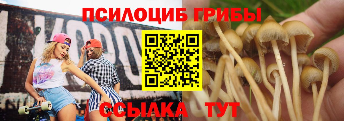 Псилоцибиновые грибы Psilocybe Самара